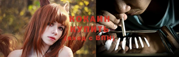 шишки Верхний Тагил