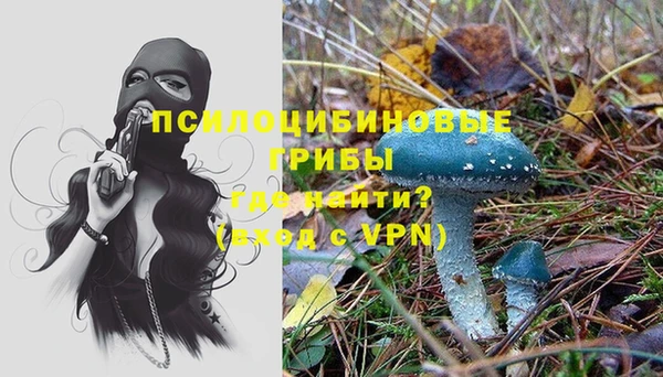 тгк Вяземский